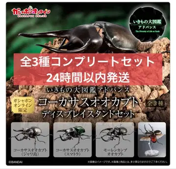 [온라인판] 생물대도감 어드밴스 코카서스장수풍뎅이 전 3종 세트