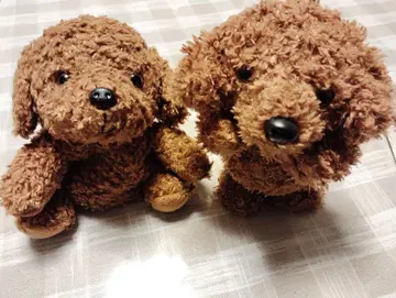 프리미엄 퍼피 토킹 퍼피 말하는 보행 토이 푸들