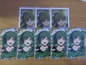 시쿠포니 스치 폴라로이드