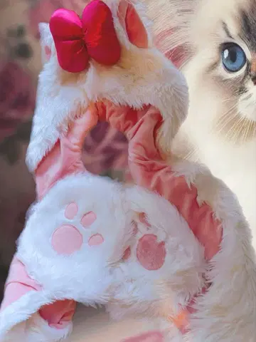 디즈니 마리 팬 캡