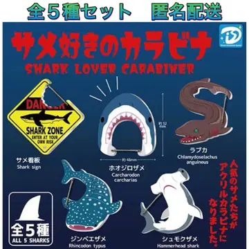 상어 애호가 카라비너 전 5종 컴프 가챠