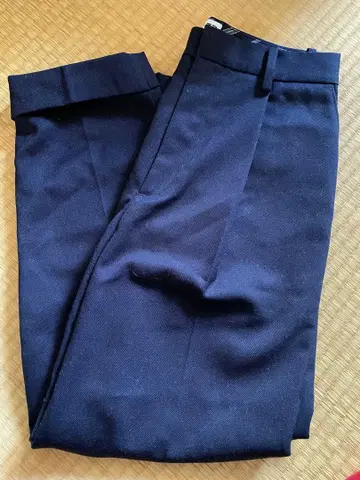 UNIQLO x INES 콜라보 팬츠