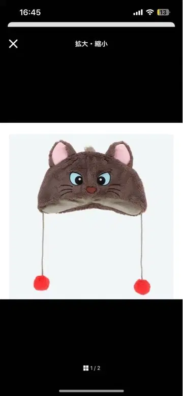 베를리오즈 팬캡