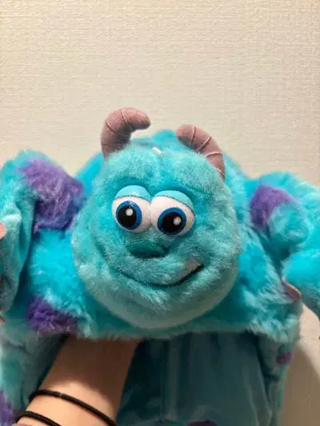 몬스터즈 잉크 샐리 모자 디즈니