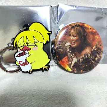 헤이세이 플라밍고 도움 전시회 캔뱃지 캔 거울 러버 키링 리호 RIHO