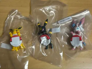 포켓몬 제일복권 길거리 산책 챠라링 프렌즈 블래키 니피아 썬더