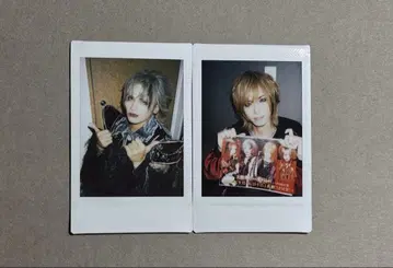 Royz 폴라로이드 스바루님, 토모야님