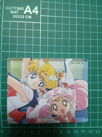 세일러문 츠키노 우사기 치비우사 아크릴 블록