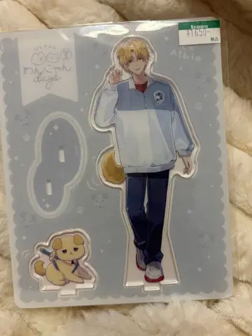 니지산지 엑스 알비오 완냥 days 아크릴 스탠드