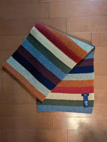 GAP 멀티 컬러 스트라이프 머플러