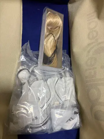 돌피드림 쿠스카와 사사라 디폴트 가발, 의상, 신발