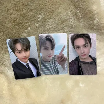 seventeen 포토 카드 세트 An Ode 준