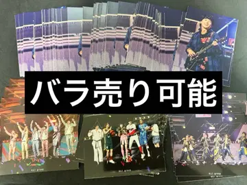 스에자와 세이야 봄 콘서트