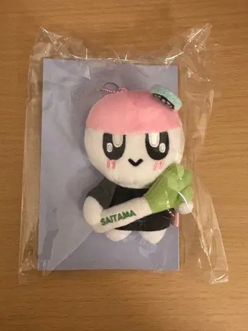 SEVENTEEN 봉봉이 사이타마