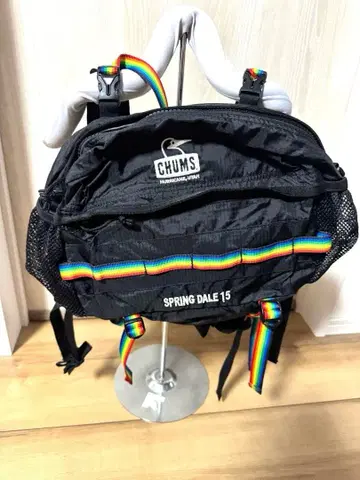 CHUMS SPRING DALE 15 백팩