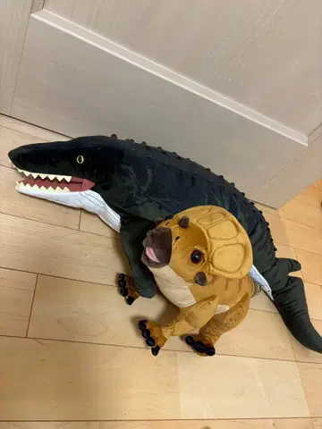 BIG 쥬라기 월드 트리케라톱스 모사사우루스 봉제 인형