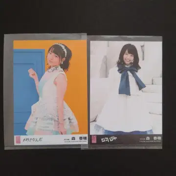 STU48 브로마이드 모리 카호
