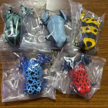 생물대도감 쁘띠 독개구리 전 5종