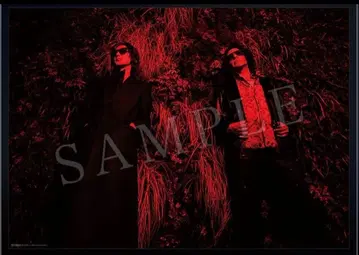 이나바사라스 포스터