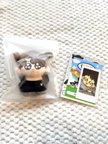 투기 본체 모크님 국