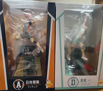 하이큐!! 히나타 쇼요&이와이즈미 하지메 피규어