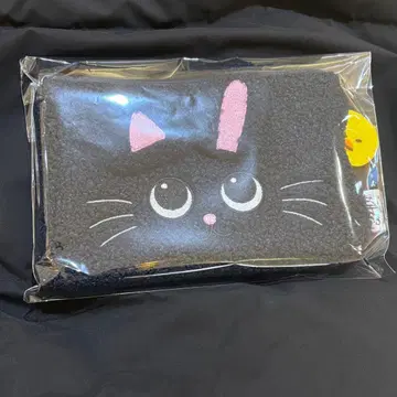 원빈 얼굴 파우치 riize popup 팝업 냥덕