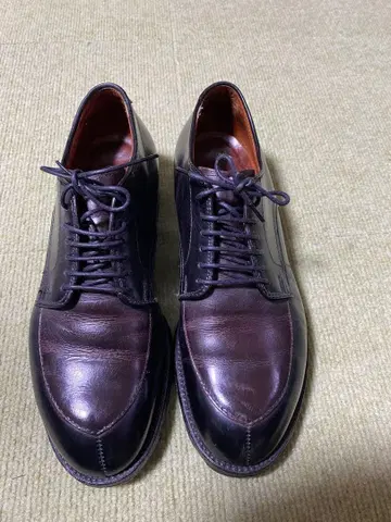 Alden (알든) 바니스 별주 V 칩 6 1/2 D 콤비 신발