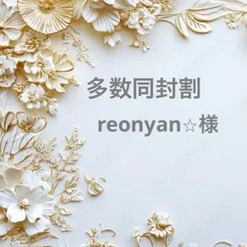 reonyan 구매 전 프로필 필독 님 포켓 티슈 케이스