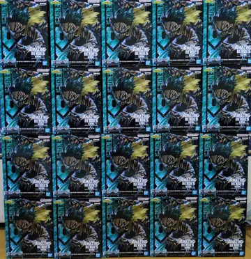 히로아카 AMAZING HEROES 미도리야 이즈쿠 데쿠 오버레이