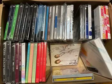 NEWS CD 앨범 다수 세트