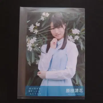 STU48 브로마이드 하라다 세이카