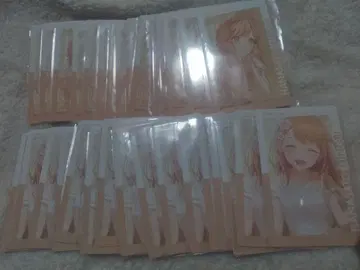 프로세카 에피카 23B 하나사토 미노리