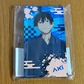 하야카와 아키 아크릴 블록