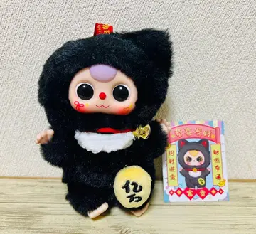 BabyThree Kitten 아기 고양이 부귀