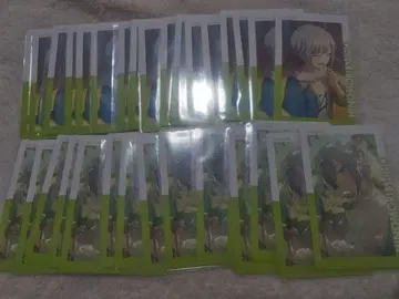 프로세카 에피카 23B 히노모리 시호