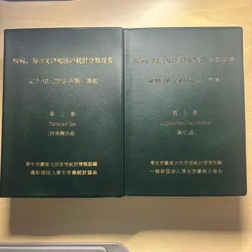 내용 예시표 색인표 진료 정보 관리사