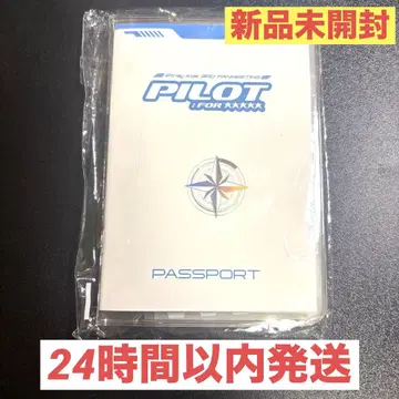 [ 미개봉 새상품 ] straykids 여권 세트 리노 파이롯트