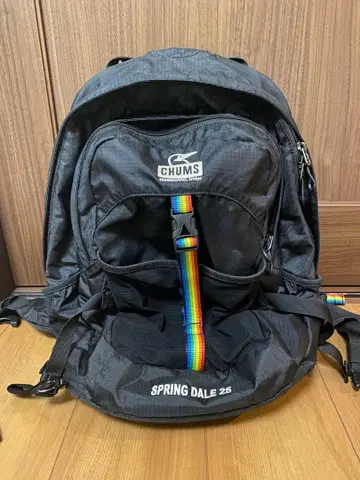 [ CHUMS ] 스프링 데일 25L 백팩 블랙