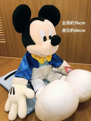 도쿄 디즈니랜드 20th 기념 특대형 미키