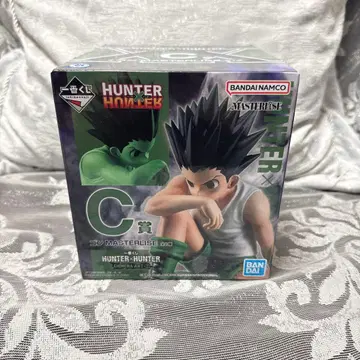 HUNTER x HUNTER MASTERLISE 곤 C상
