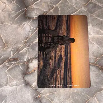 트레이딩 카드 이와타 타카노리 SPACECOWBOY 트레이딩 카드