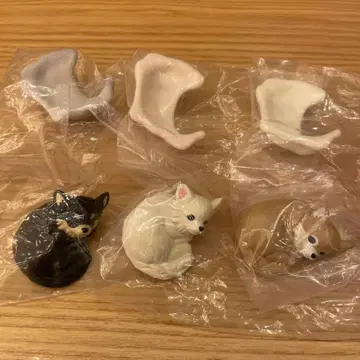 따뜻한 강아지 치와와 3색 세트 블랙탄, 크림, 초코탄