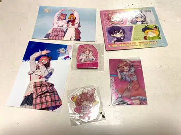 카라피치 노아 묶음 판매