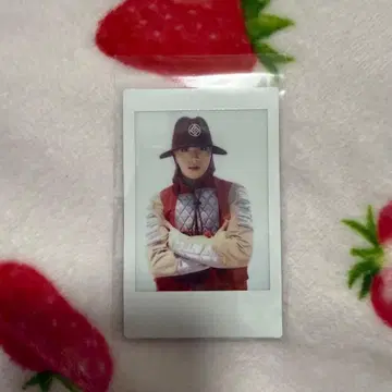 D 리그 폴라로이드 후루시마 타키 TAKI