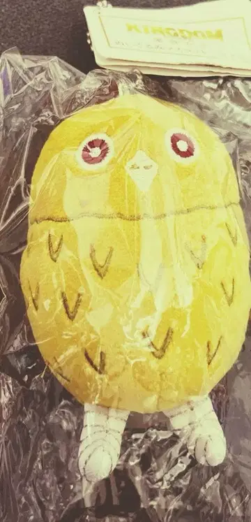 킹덤 운명의 불꽃 하료초