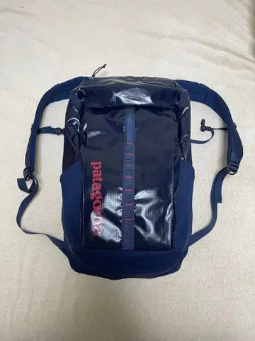 파타고니아 블랙홀 백팩 25L