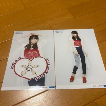 야지마 마이미 와이드 사이즈 브로마이드 2장 세트