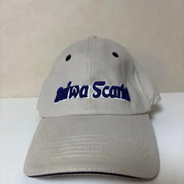 다이와 스카라브 그레이 캡