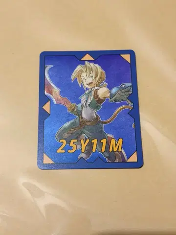 FF9 25주년 전시회 입장 혜택 쿼드미스트풍 카드 지탄