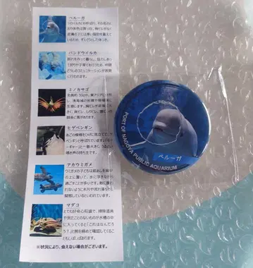 나고야항 수족관 수족관de기부 답례품 캔뱃지 벨루가